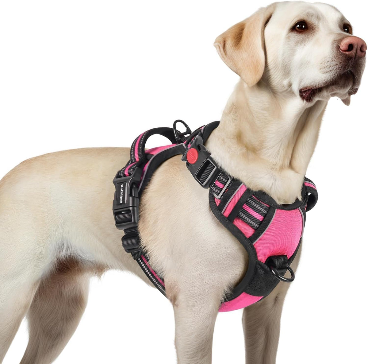 Dog Harness for Large, Updated Easy On & Off with 3 Buckles | No Pull No Choke, Walking with 2 Clips and Handle, Adjustable Soft Reflective, Blue, Large