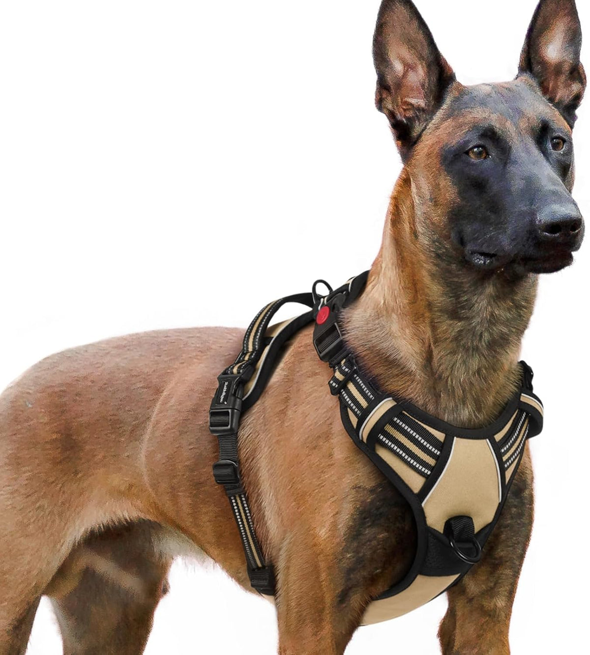 Dog Harness for Large, Updated Easy On & Off with 3 Buckles | No Pull No Choke, Walking with 2 Clips and Handle, Adjustable Soft Reflective, Blue, Large