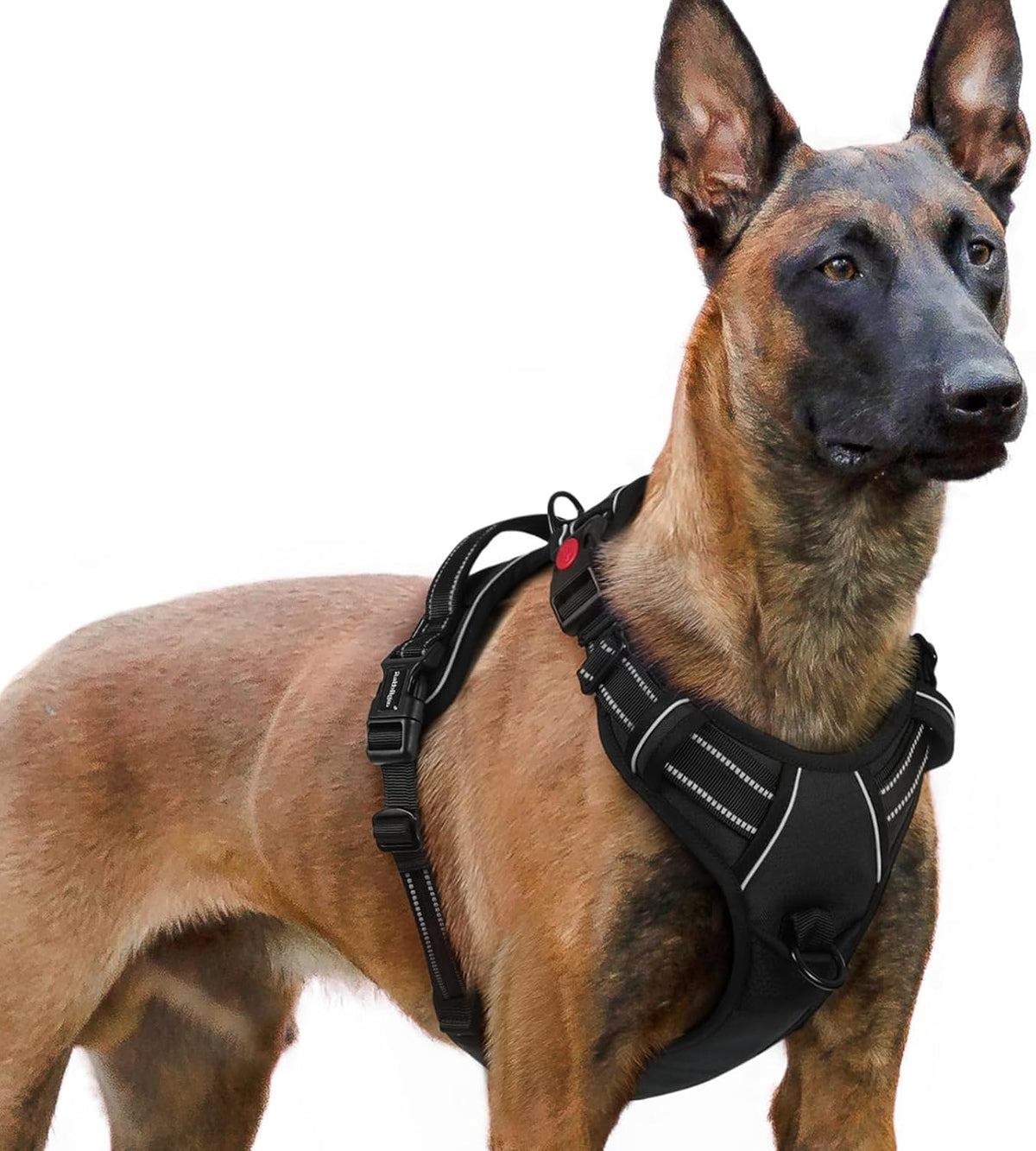 Dog Harness for Large, Updated Easy On & Off with 3 Buckles | No Pull No Choke, Walking with 2 Clips and Handle, Adjustable Soft Reflective, Blue, Large