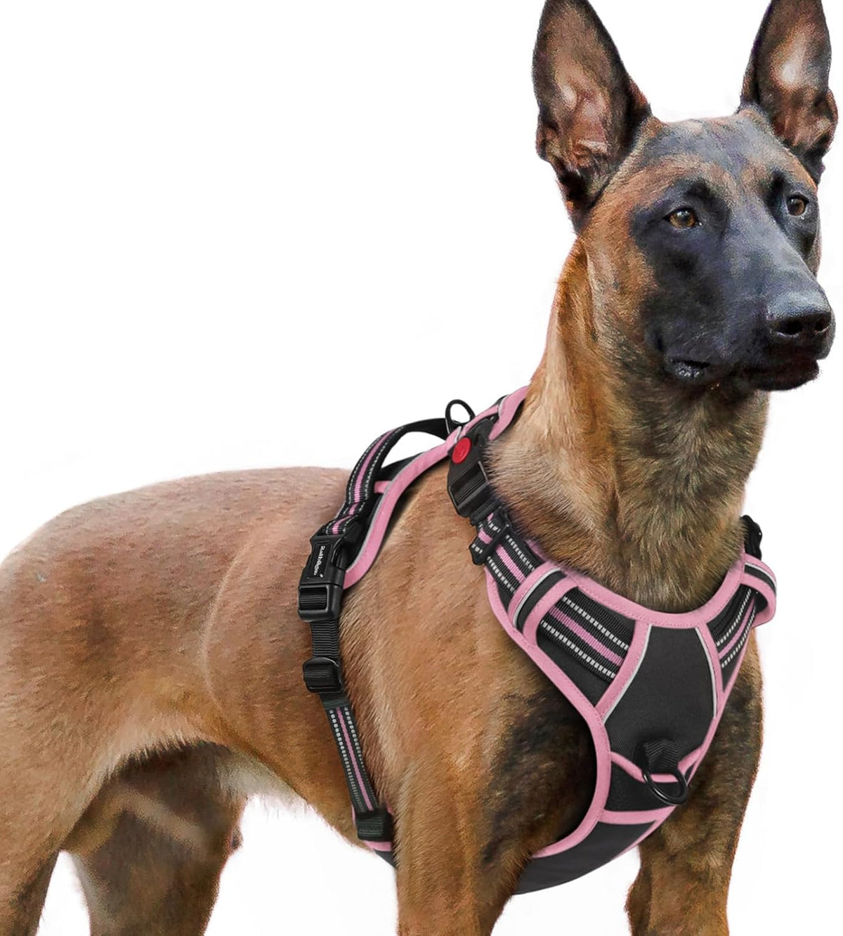 Dog Harness for Large, Updated Easy On & Off with 3 Buckles | No Pull No Choke, Walking with 2 Clips and Handle, Adjustable Soft Reflective, Blue, Large