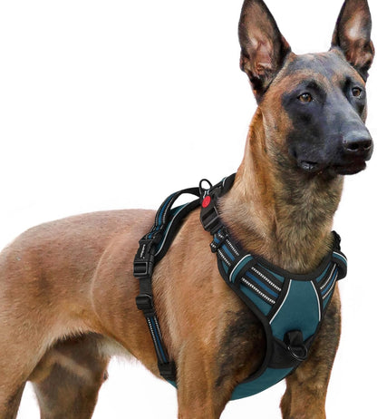 Dog Harness for Large, Updated Easy On & Off with 3 Buckles | No Pull No Choke, Walking with 2 Clips and Handle, Adjustable Soft Reflective, Blue, Large