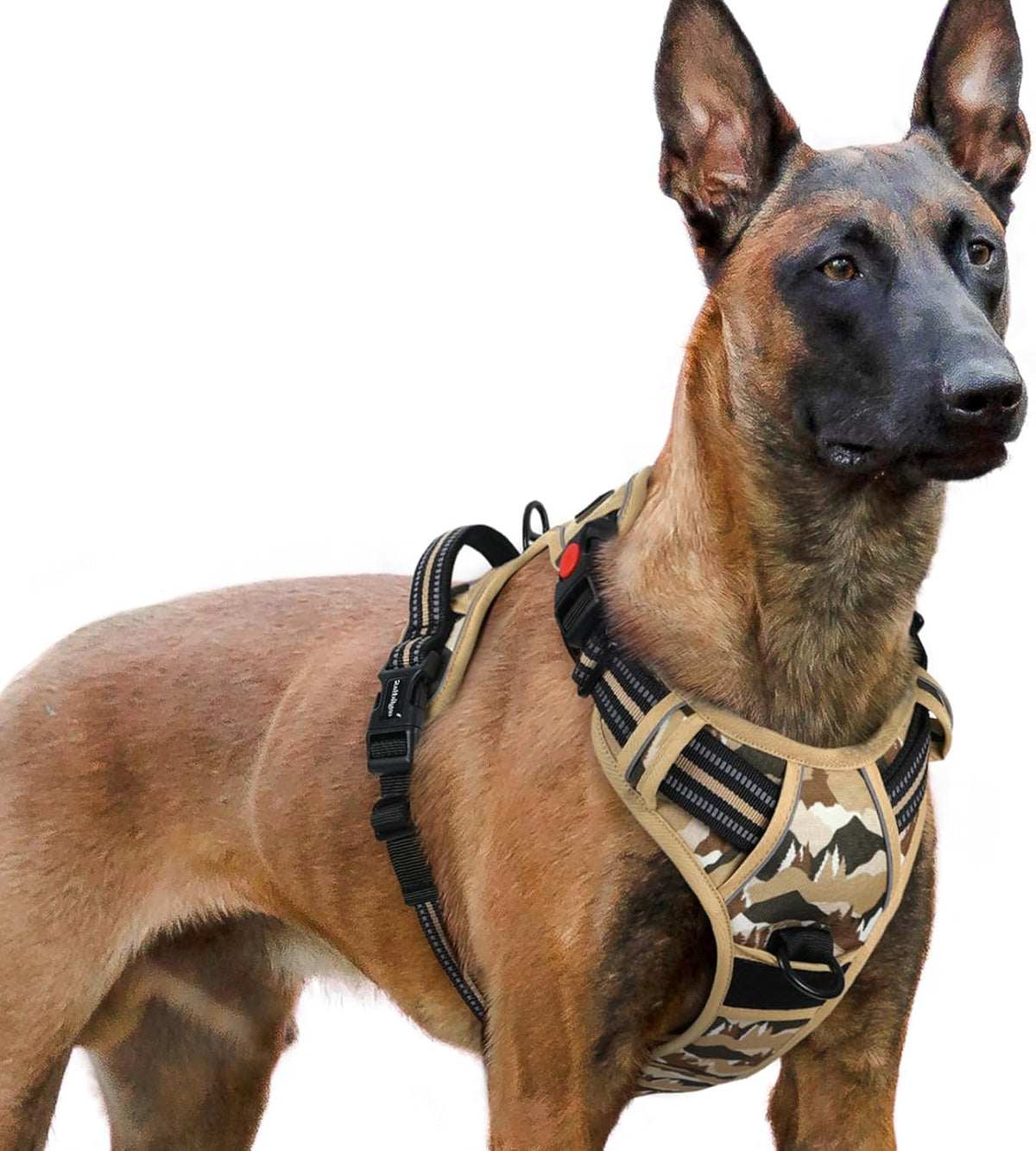 Dog Harness for Large, Updated Easy On & Off with 3 Buckles | No Pull No Choke, Walking with 2 Clips and Handle, Adjustable Soft Reflective, Blue, Large
