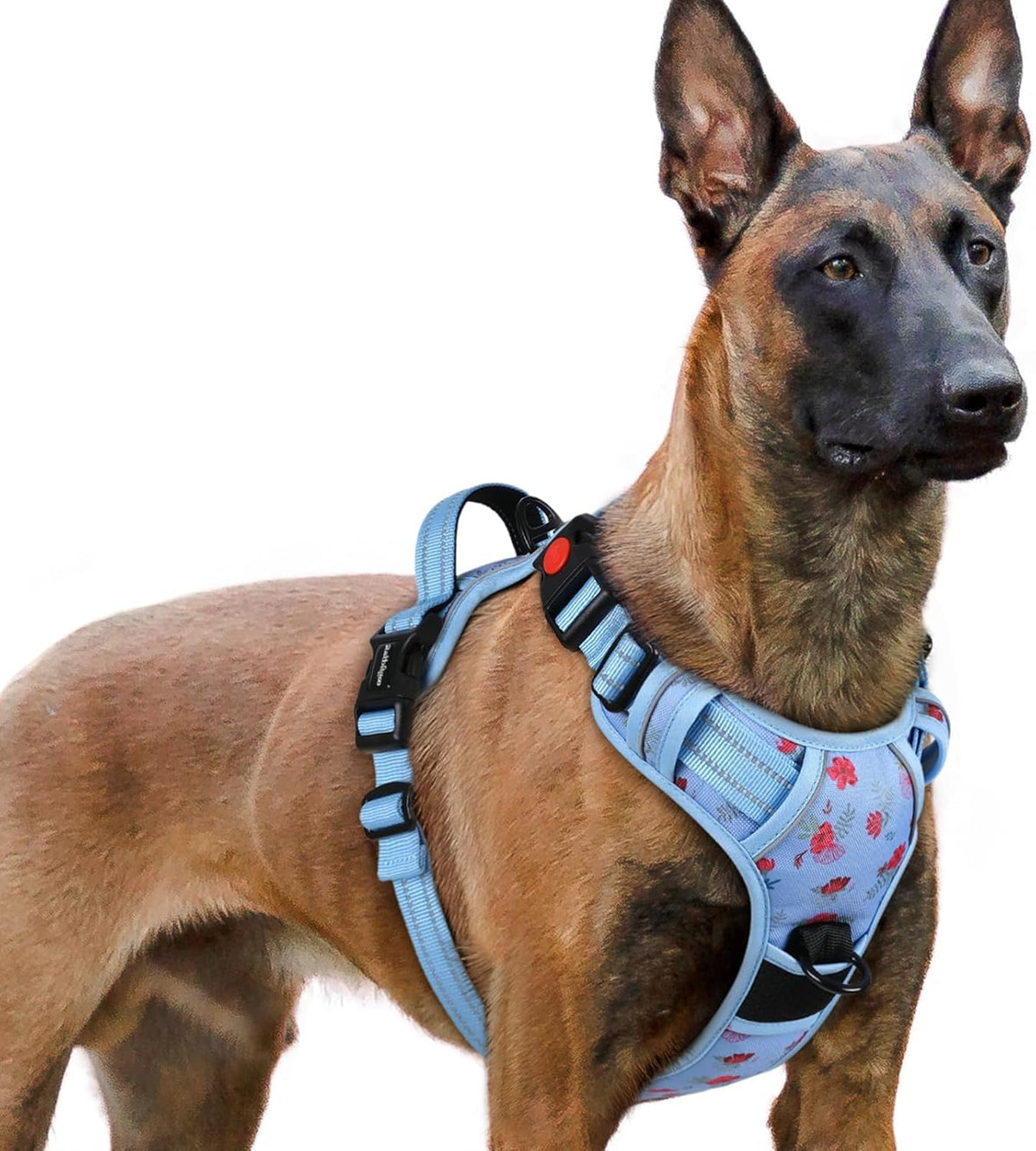 Dog Harness for Large, Updated Easy On & Off with 3 Buckles | No Pull No Choke, Walking with 2 Clips and Handle, Adjustable Soft Reflective, Blue, Large