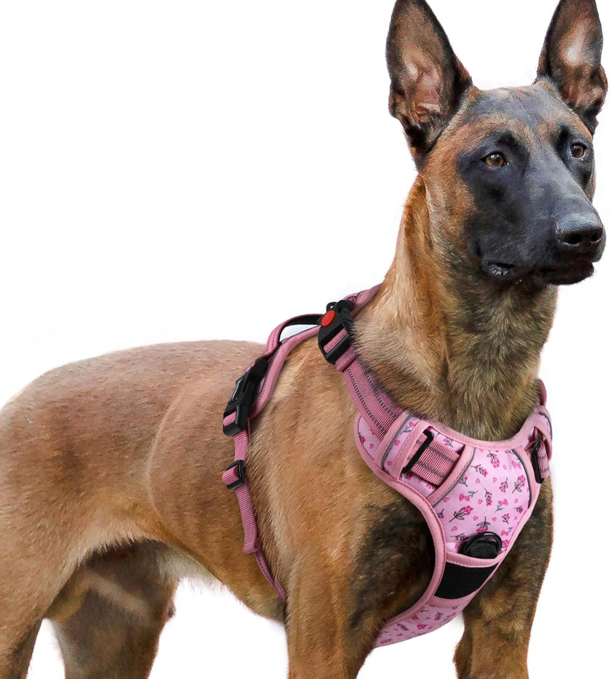 Dog Harness for Large, Updated Easy On & Off with 3 Buckles | No Pull No Choke, Walking with 2 Clips and Handle, Adjustable Soft Reflective, Blue, Large