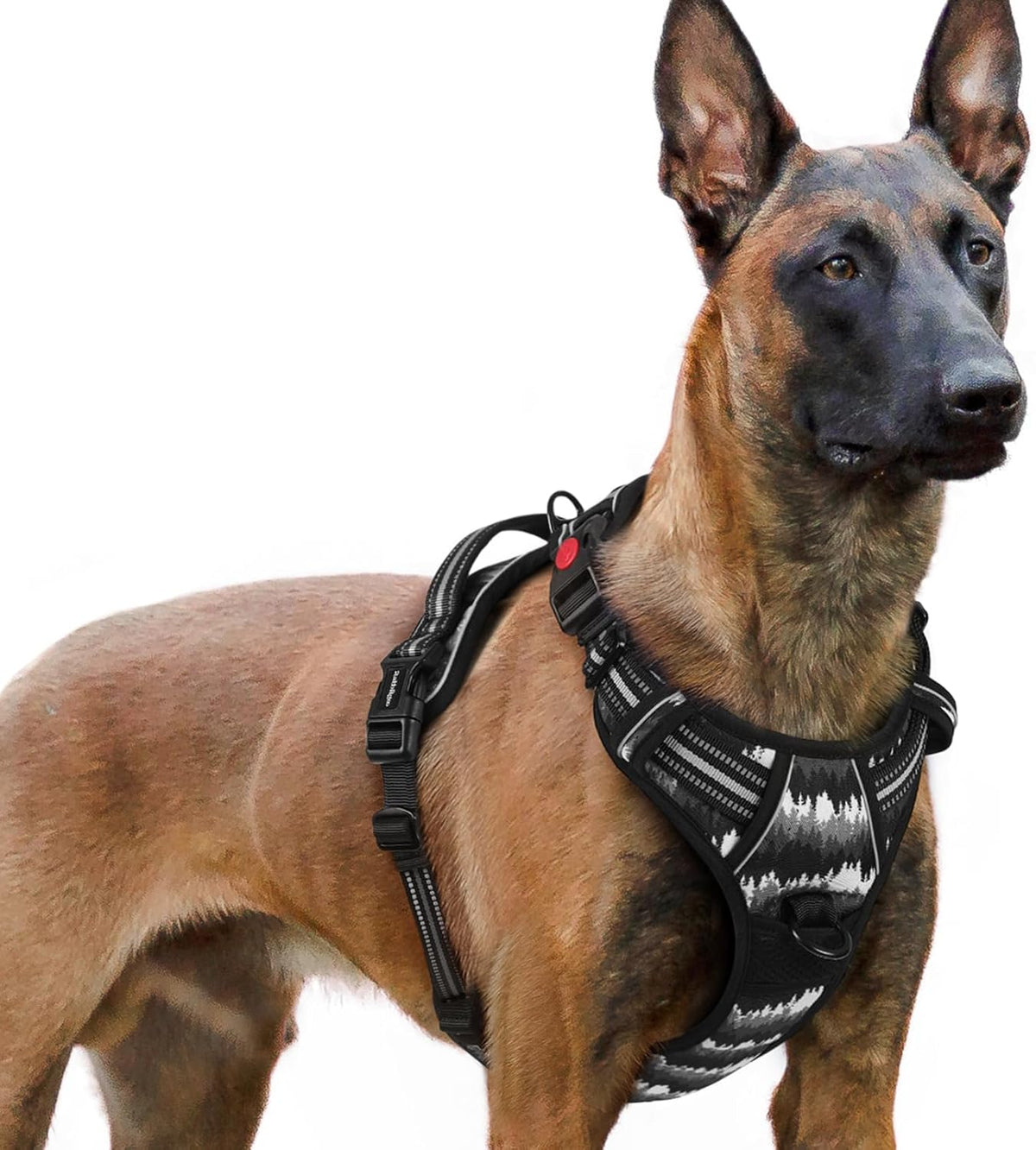 Dog Harness for Large, Updated Easy On & Off with 3 Buckles | No Pull No Choke, Walking with 2 Clips and Handle, Adjustable Soft Reflective, Blue, Large