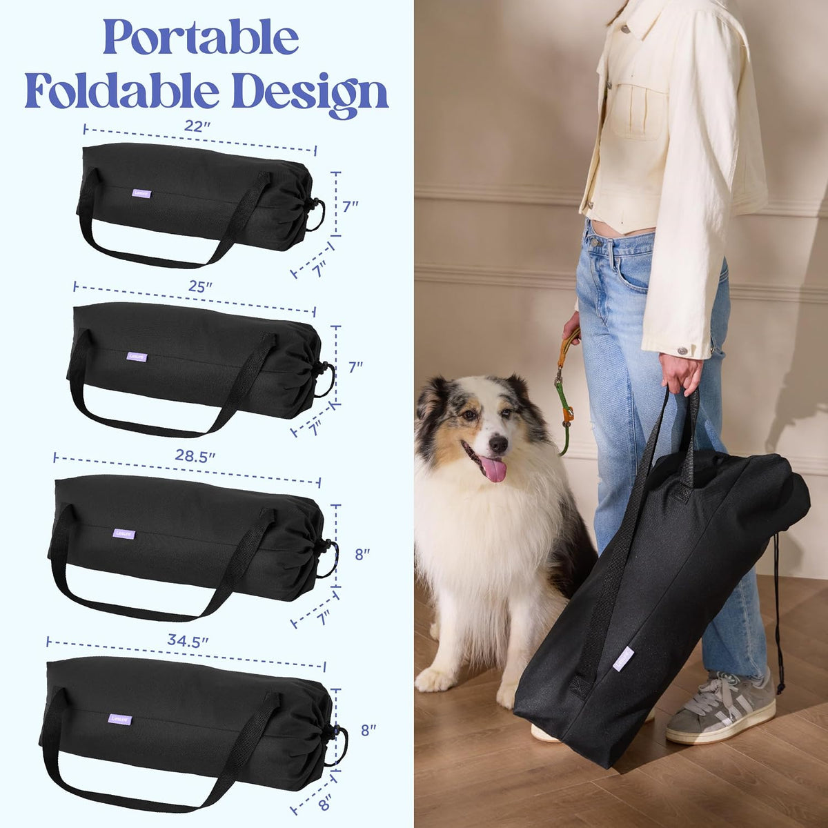 Today Show Soft Collapsible Dog Crates for Large Dogs, 36in Black