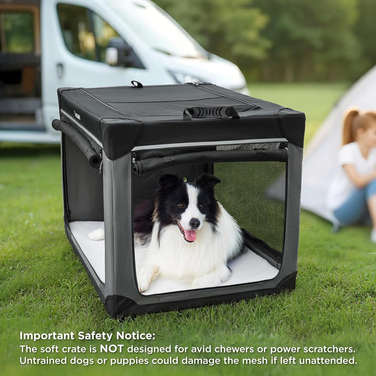 Today Show Soft Collapsible Dog Crates for Large Dogs, 36in Black