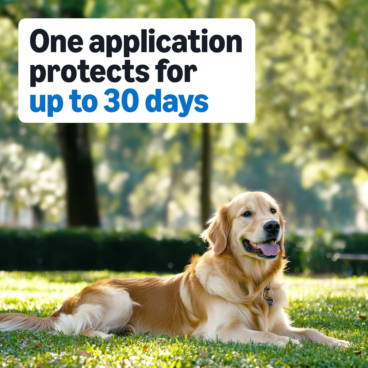 Flea and Tick Topical Treatment for Medium Dogs (23-44 lbs), Fast Acting and Long Lasting, Packaging May Vary