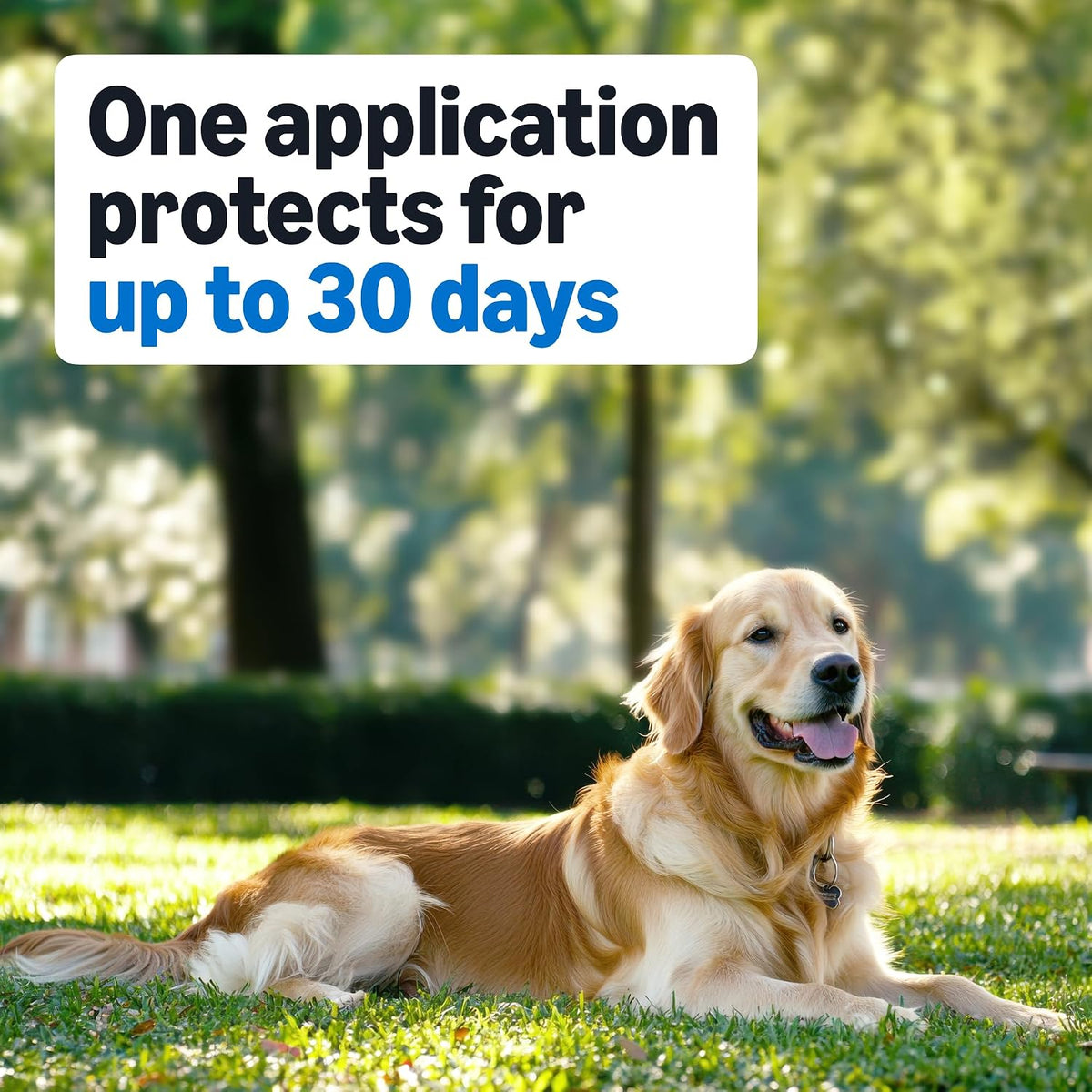 Flea and Tick Topical Treatment for Medium Dogs (23-44 lbs), Fast Acting and Long Lasting, Packaging May Vary