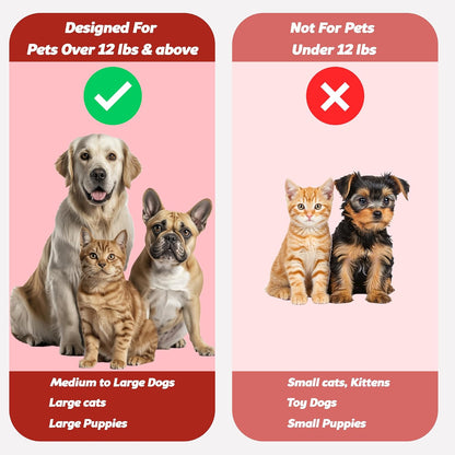 Pet Toothbrush for Dogs, Cats with Soft Bristles - Easy Teeth Cleaning & Dental Care, Non Slip Dual Head Dog Toothbrush for Medium & Large Pets, Toothpaste Not Included, Pack of 1 Red