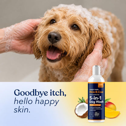 Oatmeal Aloe Dog Shampoo and Conditioner, Itchy Skin Relief, Sensitive Skin