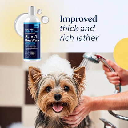 Oatmeal Aloe Dog Shampoo and Conditioner, Itchy Skin Relief, Sensitive Skin