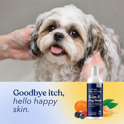 Oatmeal Aloe Dog Shampoo and Conditioner, Itchy Skin Relief, Sensitive Skin