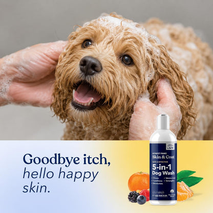 Oatmeal Aloe Dog Shampoo and Conditioner, Itchy Skin Relief, Sensitive Skin