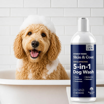 Oatmeal Aloe Dog Shampoo and Conditioner, Itchy Skin Relief, Sensitive Skin