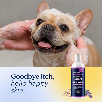 Oatmeal Aloe Dog Shampoo and Conditioner, Itchy Skin Relief, Sensitive Skin