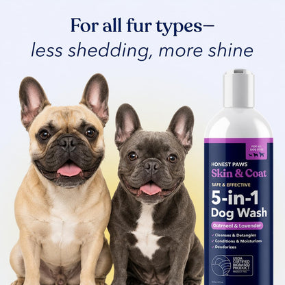 Oatmeal Aloe Dog Shampoo and Conditioner, Itchy Skin Relief, Sensitive Skin