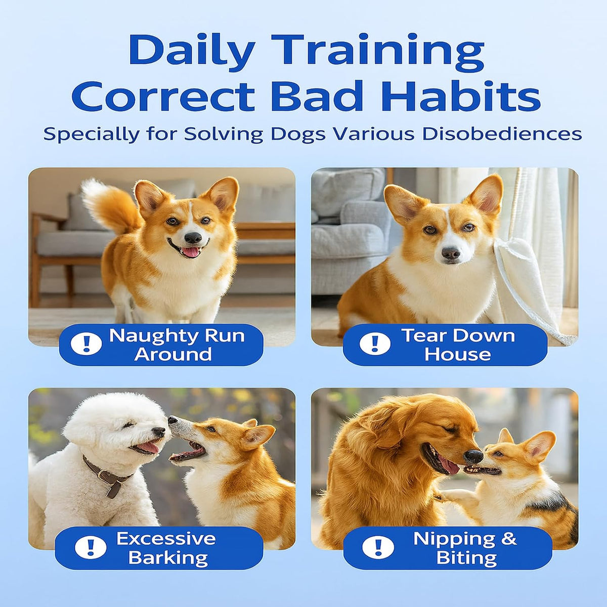 Dog Training Stick for Puppies and Dogs, Flexible Exercise Stick, Obedience Training Tool(Blue)