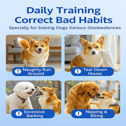Dog Training Stick for Puppies and Dogs, Flexible Exercise Stick, Obedience Training Tool(Blue)