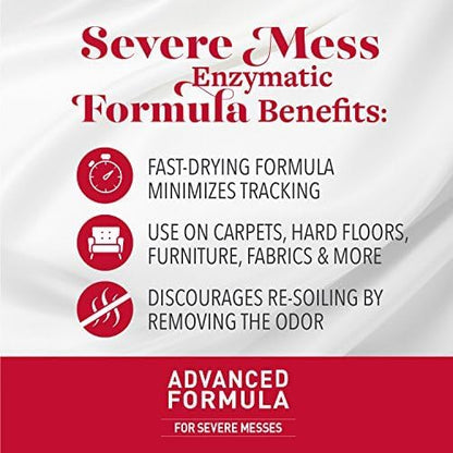 Advanced Cat Stain & Odor Eliminator, Severe Mess, 32 oz
