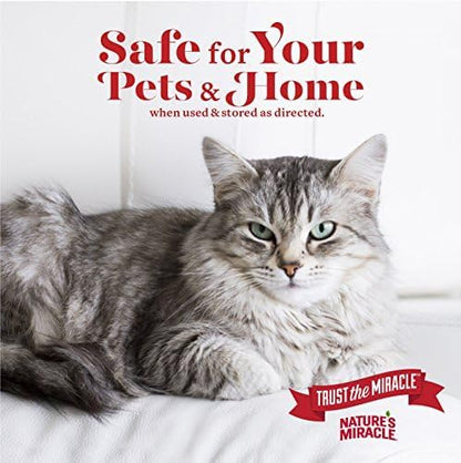 Advanced Cat Stain & Odor Eliminator, Severe Mess, 32 oz