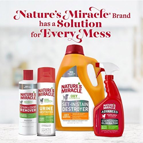 Advanced Cat Stain & Odor Eliminator, Severe Mess, 32 oz