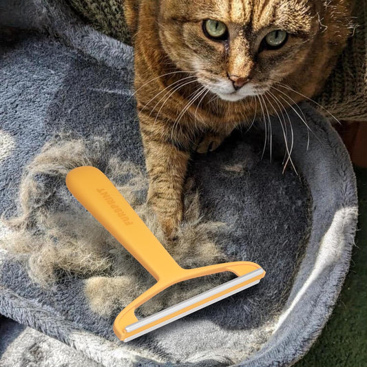 Carpet Rake for Pet Hair Removal – Reusable Cat & Dog Hair Remover Broom with Adjustable 60" Long Handle, Rug Rake Scraper for Carpet, Rugs, Mats, Upholstery & Couch Cleaning
