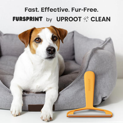 Carpet Rake for Pet Hair Removal – Reusable Cat & Dog Hair Remover Broom with Adjustable 60" Long Handle, Rug Rake Scraper for Carpet, Rugs, Mats, Upholstery & Couch Cleaning