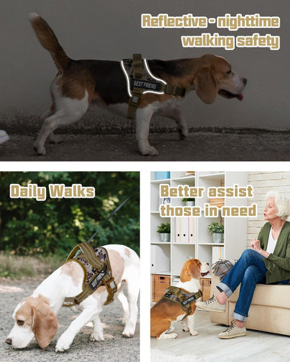 AUROTH Dog Harness and Leash Set for Medium Sized Dog, No Pull Dog Vest