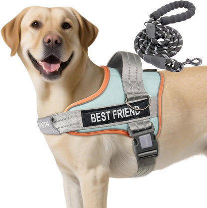AUROTH Dog Harness and Leash Set for Medium Sized Dog, No Pull Dog Vest