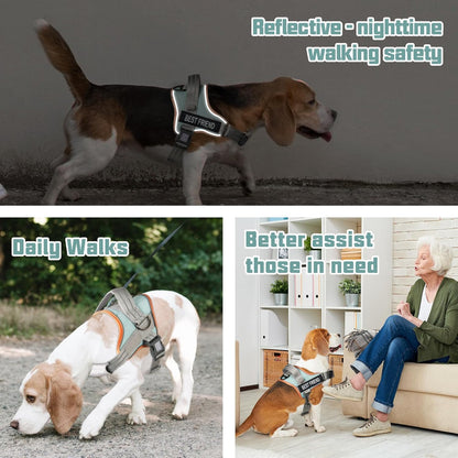 AUROTH Dog Harness and Leash Set for Medium Sized Dog, No Pull Dog Vest