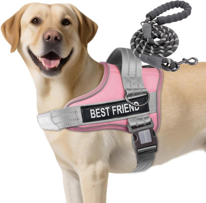 AUROTH Dog Harness and Leash Set for Medium Sized Dog, No Pull Dog Vest