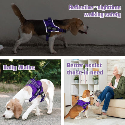AUROTH Dog Harness and Leash Set for Medium Sized Dog, No Pull Dog Vest