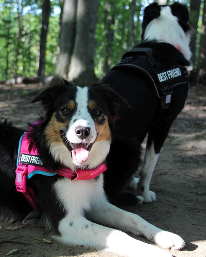 AUROTH Dog Harness and Leash Set for Medium Sized Dog, No Pull Dog Vest
