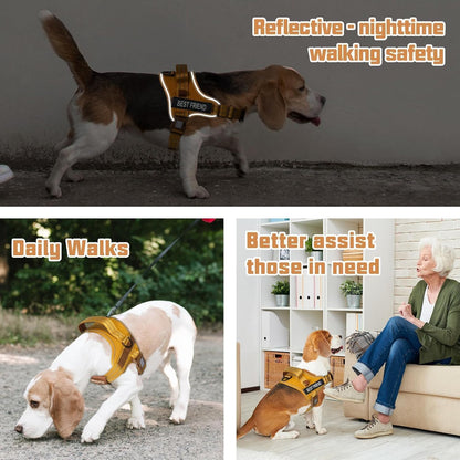 AUROTH Dog Harness and Leash Set for Medium Sized Dog, No Pull Dog Vest