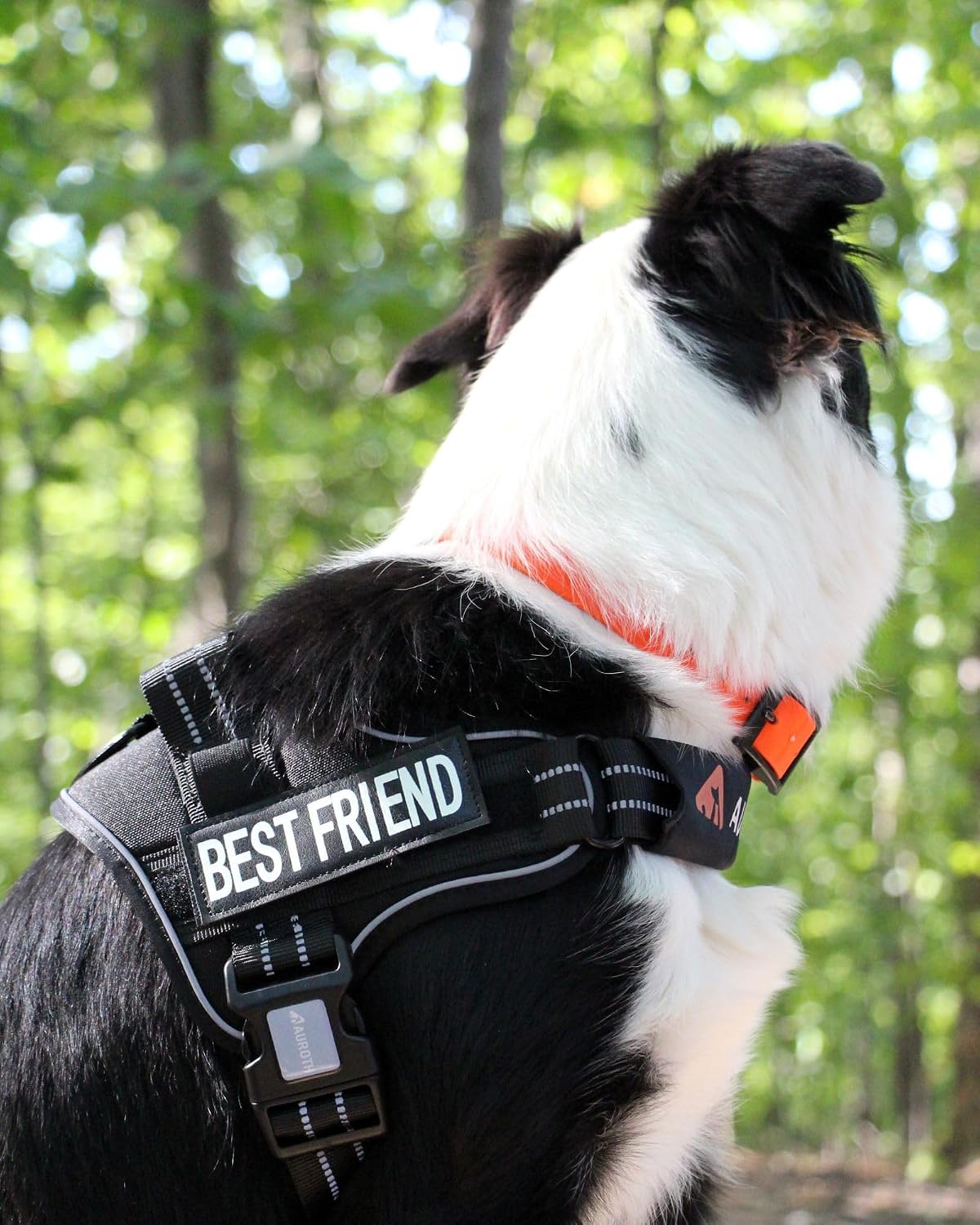 AUROTH Dog Harness and Leash Set for Medium Sized Dog, No Pull Dog Vest