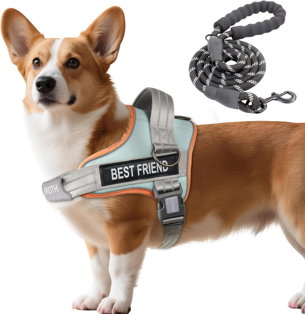 AUROTH Dog Harness and Leash Set for Medium Sized Dog, No Pull Dog Vest