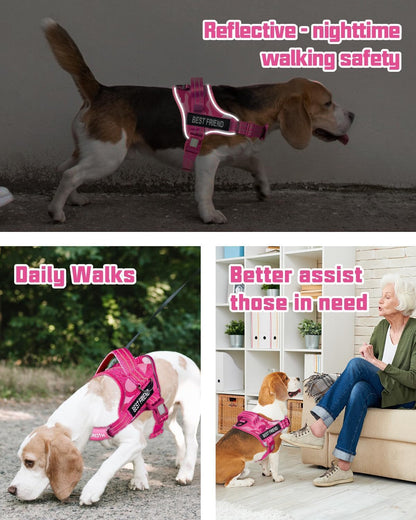 AUROTH Dog Harness and Leash Set for Medium Sized Dog, No Pull Dog Vest