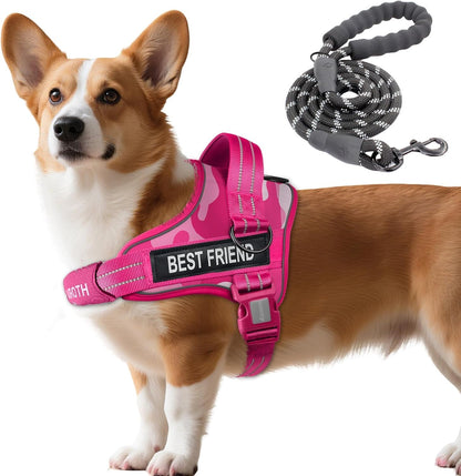 AUROTH Dog Harness and Leash Set for Medium Sized Dog, No Pull Dog Vest