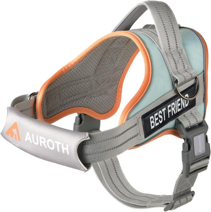 AUROTH Dog Harness and Leash Set for Medium Sized Dog, No Pull Dog Vest