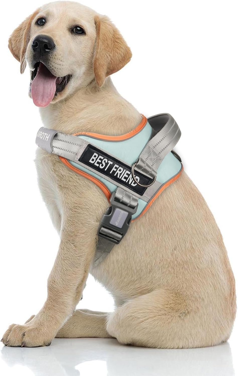 AUROTH Dog Harness and Leash Set for Medium Sized Dog, No Pull Dog Vest