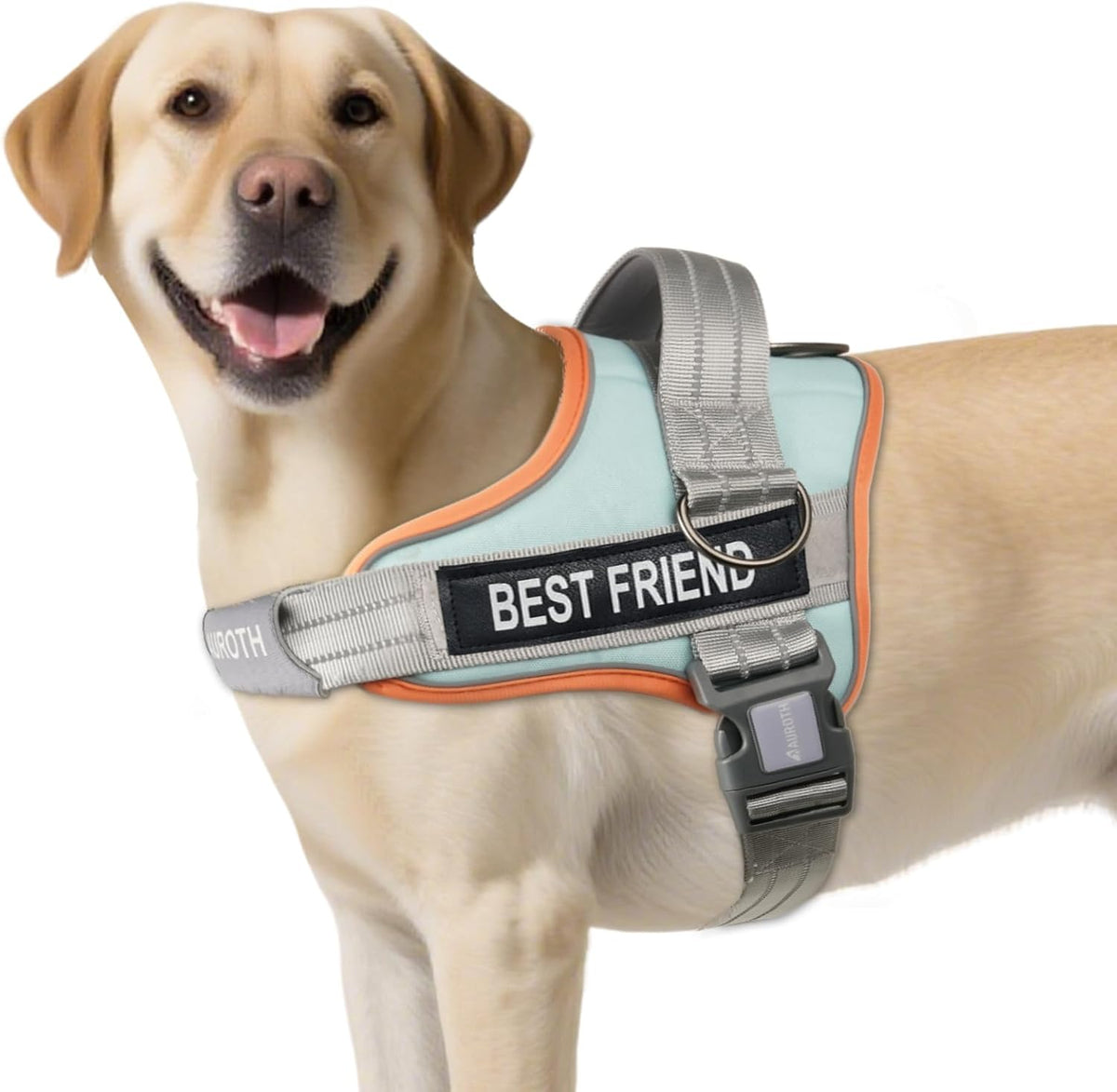 AUROTH Dog Harness and Leash Set for Medium Sized Dog, No Pull Dog Vest