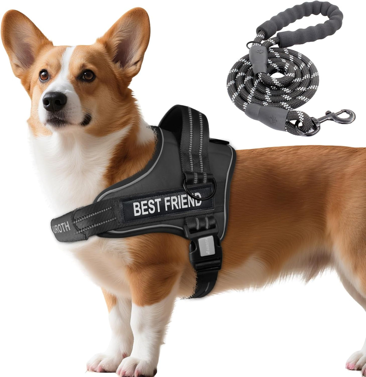 AUROTH Dog Harness and Leash Set for Medium Sized Dog, No Pull Dog Vest
