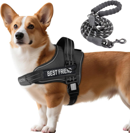AUROTH Dog Harness and Leash Set for Medium Sized Dog, No Pull Dog Vest
