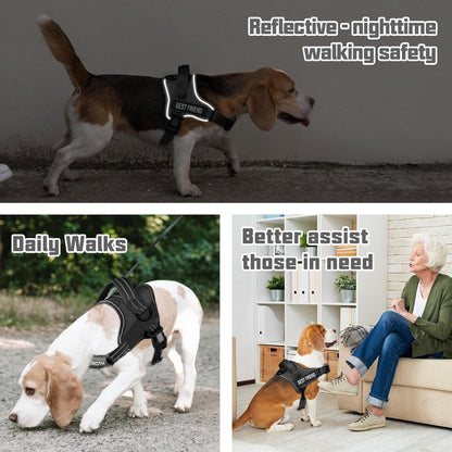 AUROTH Dog Harness and Leash Set for Medium Sized Dog, No Pull Dog Vest