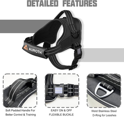 AUROTH Dog Harness and Leash Set for Medium Sized Dog, No Pull Dog Vest