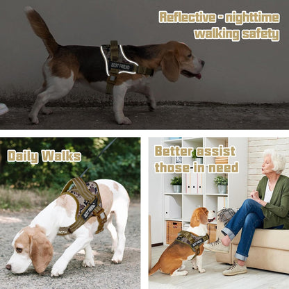 AUROTH Dog Harness and Leash Set for Medium Sized Dog, No Pull Dog Vest