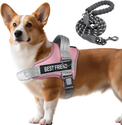 AUROTH Dog Harness and Leash Set for Medium Sized Dog, No Pull Dog Vest