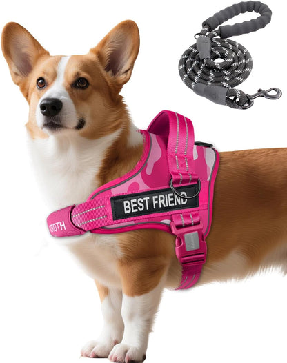 AUROTH Dog Harness and Leash Set for Medium Sized Dog, No Pull Dog Vest