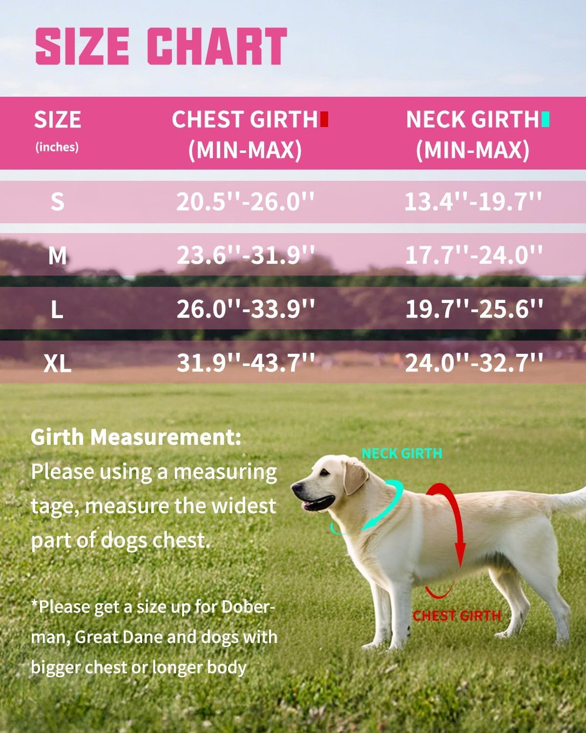 AUROTH Dog Harness and Leash Set for Medium Sized Dog, No Pull Dog Vest